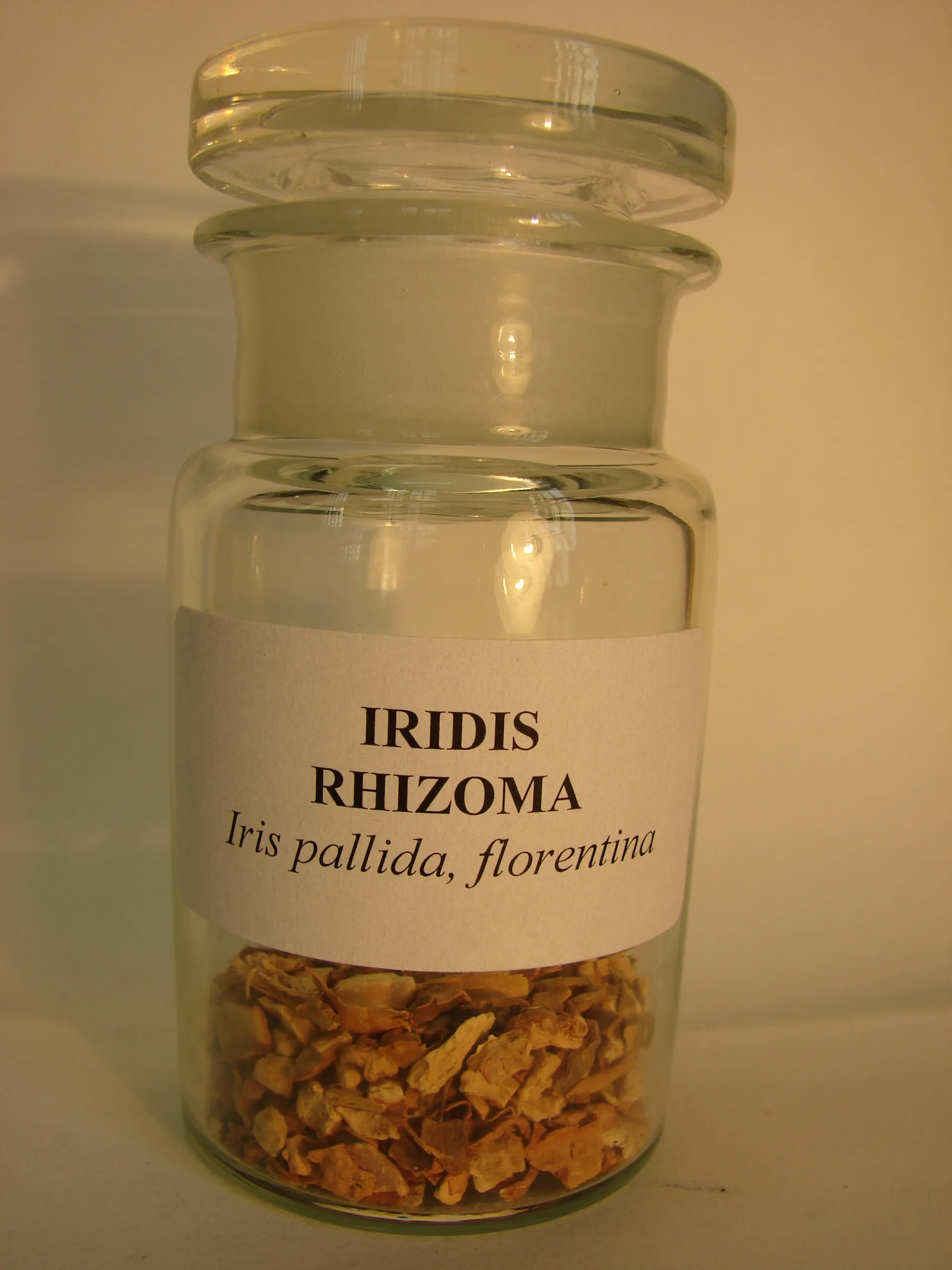 标着 Iridis rhizoma 的药瓶