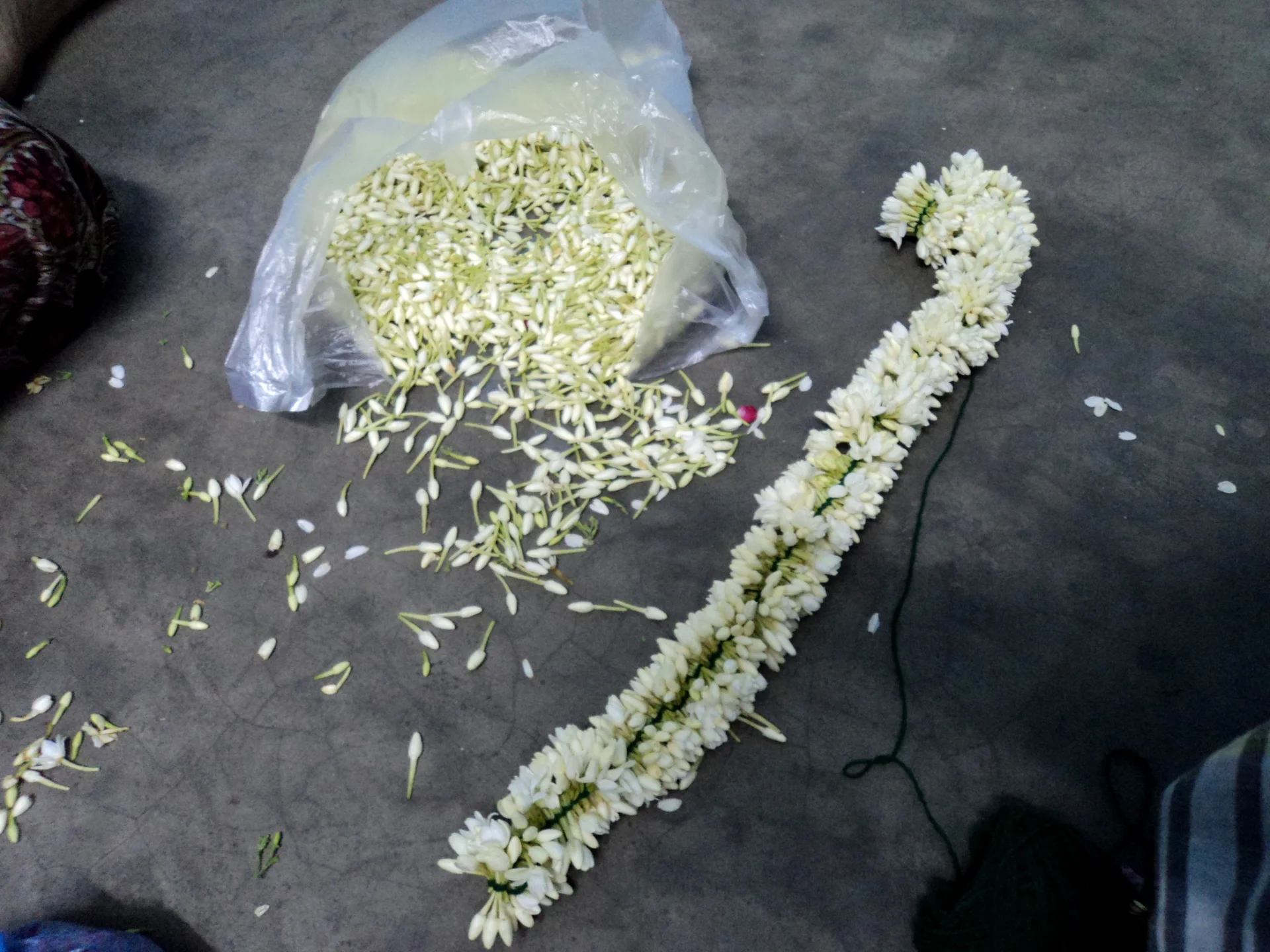 泰米尔纳德邦散放的茉莉花蕾、线与编成的花环